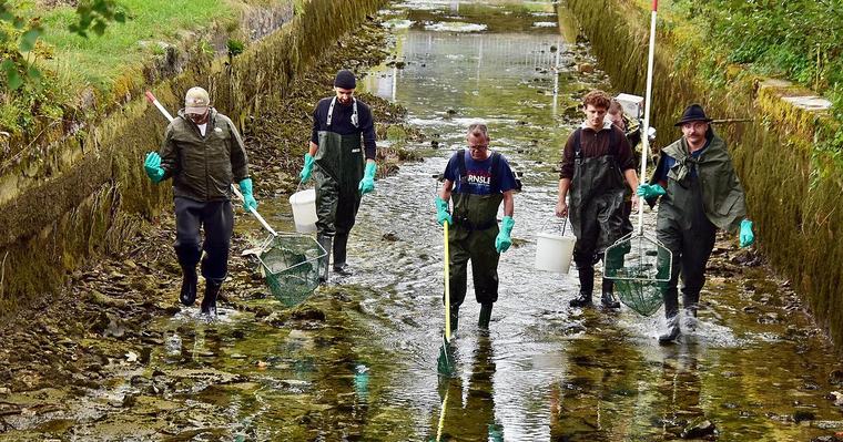 Almabkehr am Almkanal gestartet