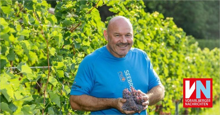 Die Weinlese ist eröffnet: “Wir steuern auf eine Sensationsernte zu“