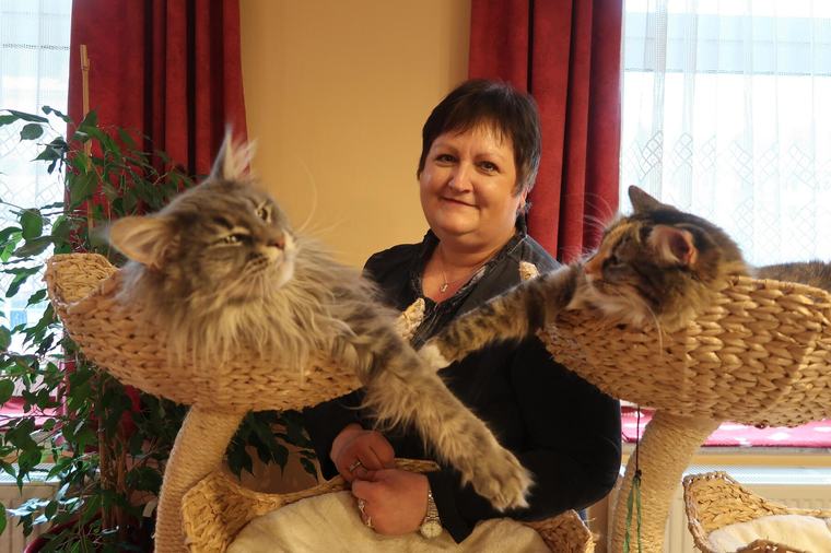 Katzencoach aus Eisenerz: „Katzen sind unterschätzte Haustiere“