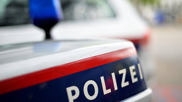 Verdächtiger geständig - Brände in der Region Purkersdorf gelegt: Polizei fasst Feuerteufel