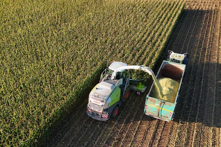 Essen wird immer teurer: Höchste Lebensmittelpreise seit 2022